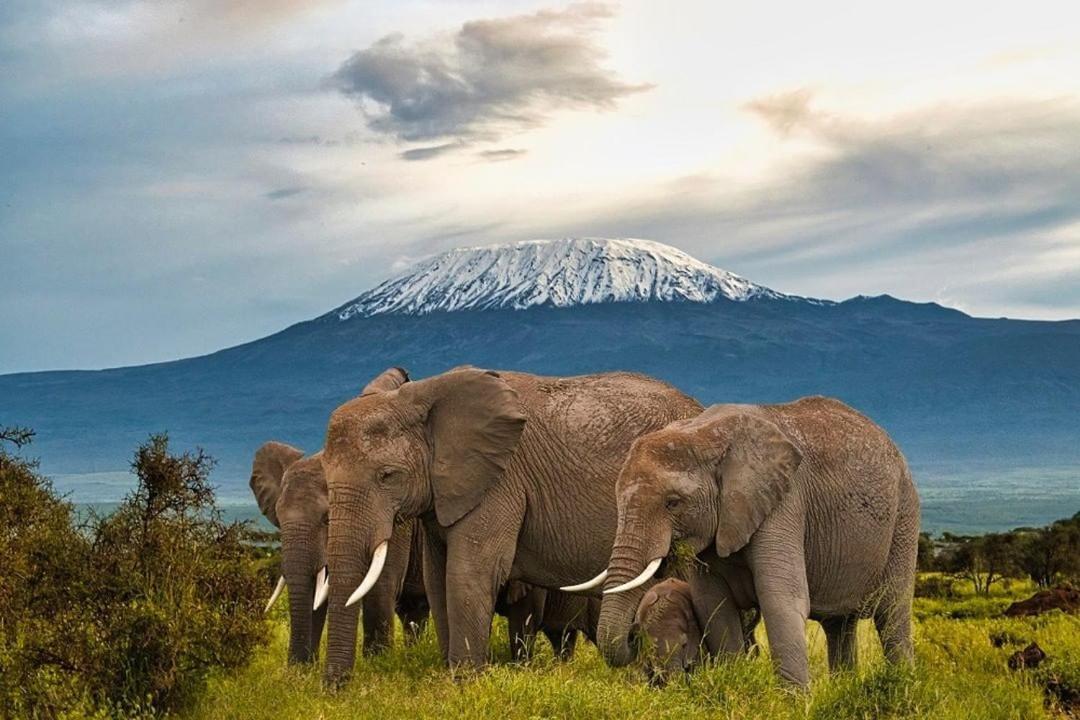 Amboseli Cultural Camping Buitenkant foto