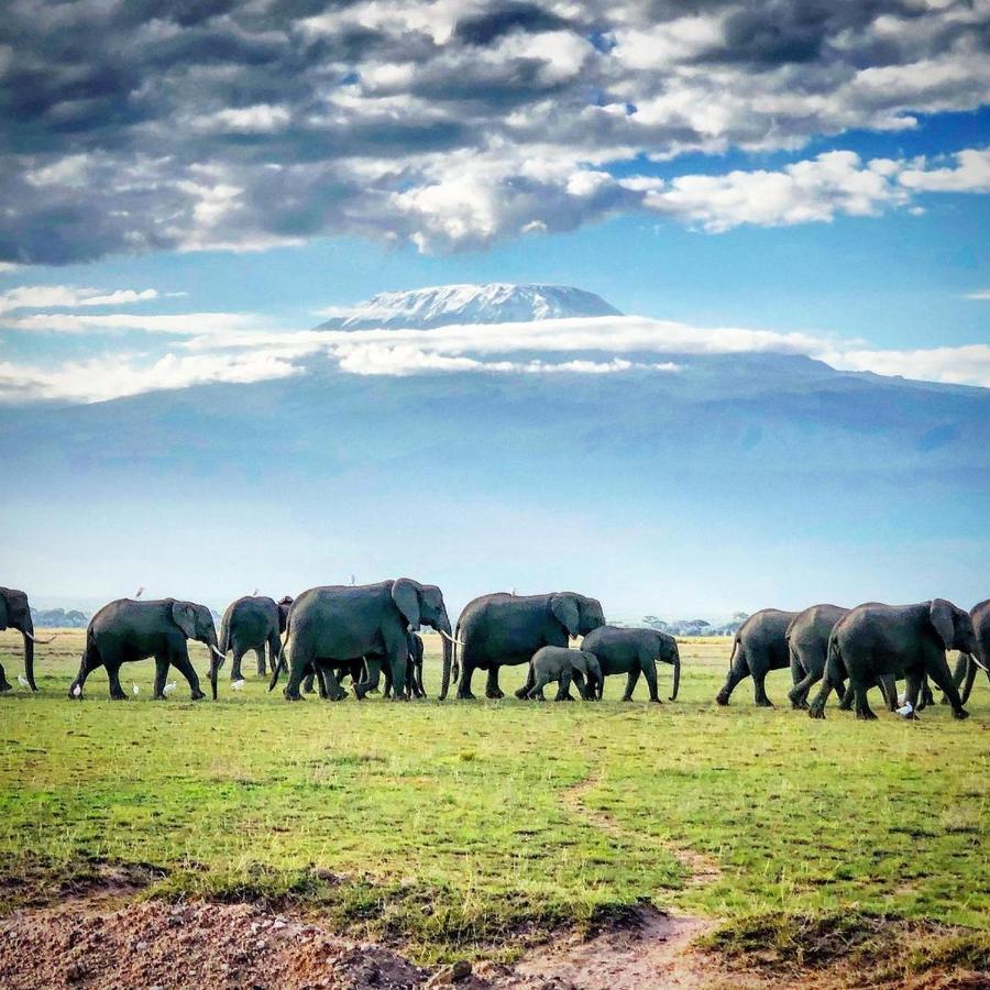 Amboseli Cultural Camping Buitenkant foto